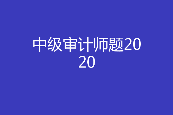 中级审计师题2020