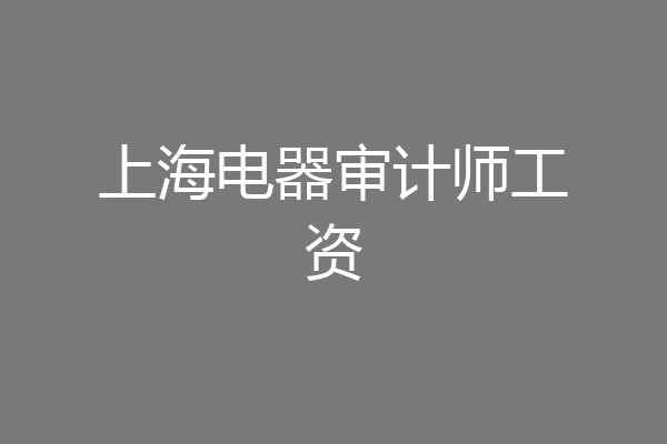上海电器审计师工资