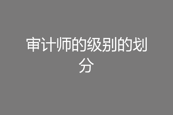 审计师的级别的划分