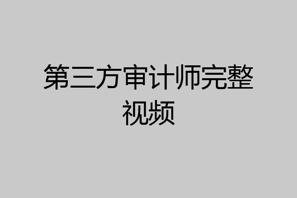 第三方审计师完整视频