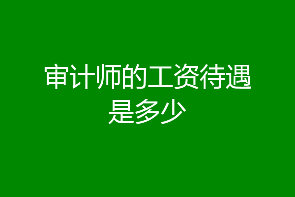 审计师的工资待遇是多少