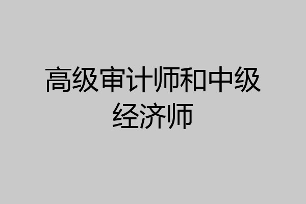 高级审计师和中级经济师