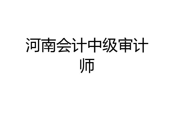 河南会计中级审计师