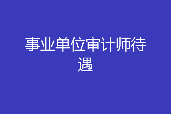 事业单位审计师待遇