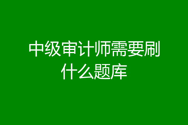 中级审计师需要刷什么题库