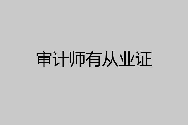 审计师有从业证