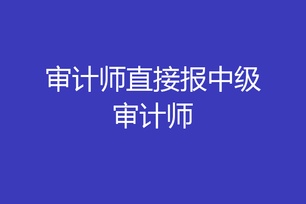 审计师直接报中级审计师