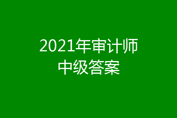 2021年审计师中级答案