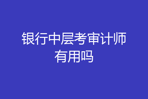 银行中层考审计师有用吗