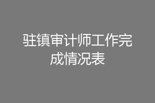 驻镇审计师工作完成情况表
