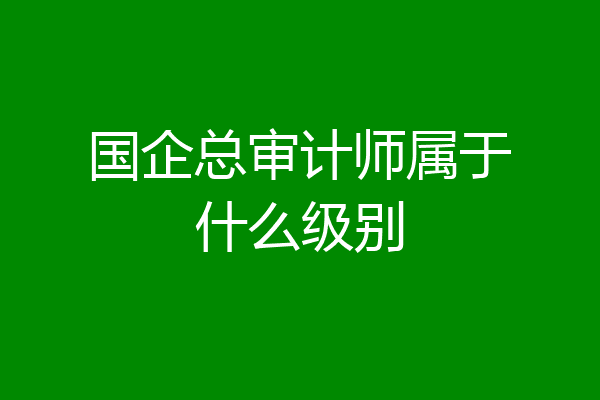 国企总审计师属于什么级别