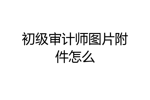 初级审计师图片附件怎么
