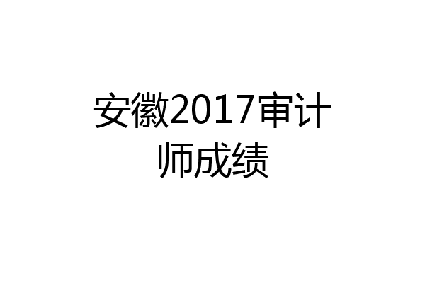 安徽2017审计师成绩