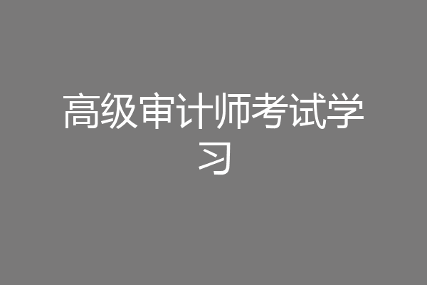 高级审计师考试学习