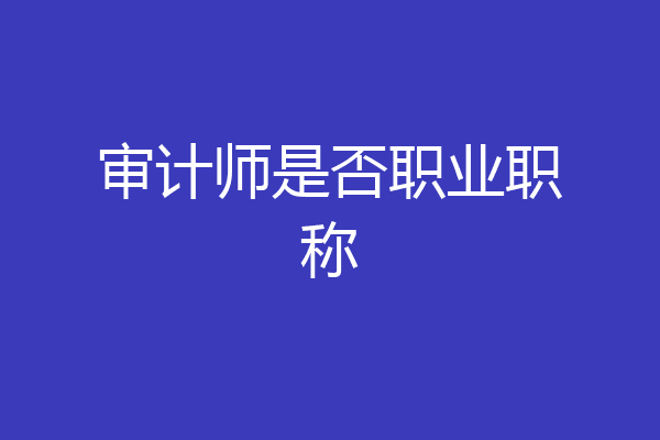 审计师是否职业职称