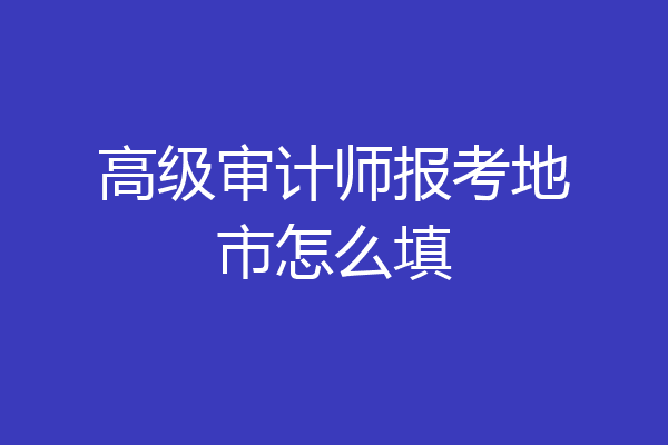 高级审计师报考地市怎么填