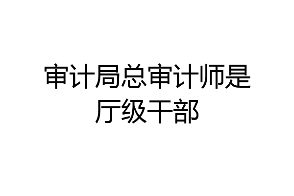 审计局总审计师是厅级干部