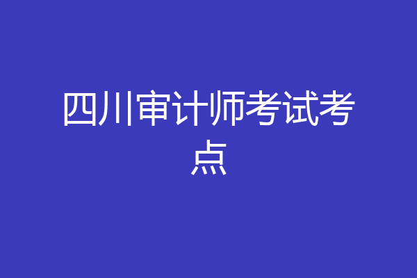 四川审计师考试考点