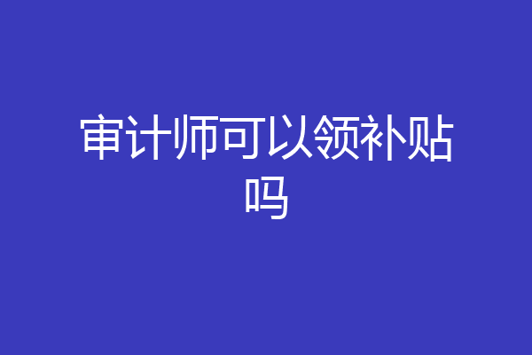 审计师可以领补贴吗