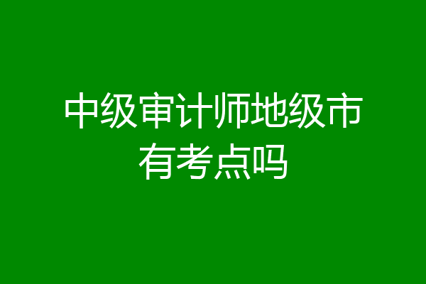 中级审计师地级市有考点吗