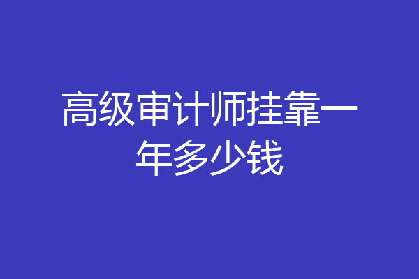 高级审计师挂靠一年多少钱