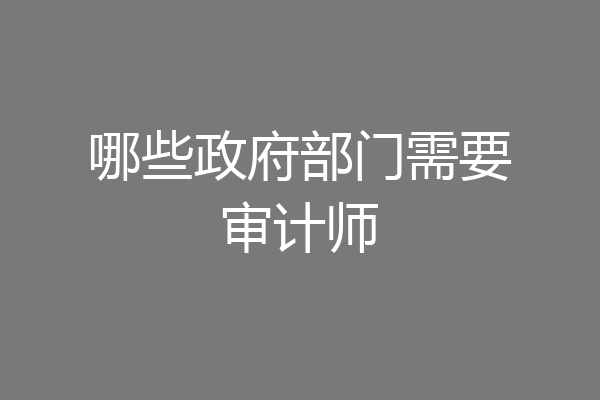 哪些政府部门需要审计师