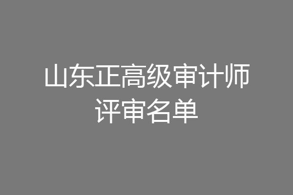 山东正高级审计师评审名单