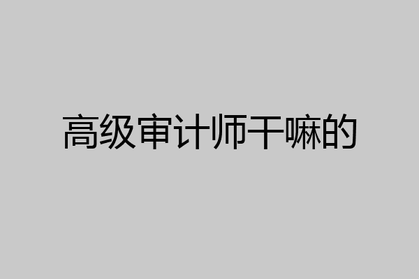 高级审计师干嘛的