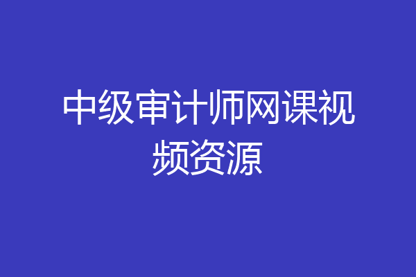 中级审计师网课视频资源