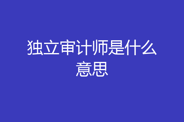 独立审计师是什么意思