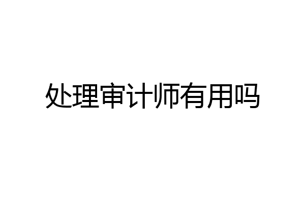 处理审计师有用吗