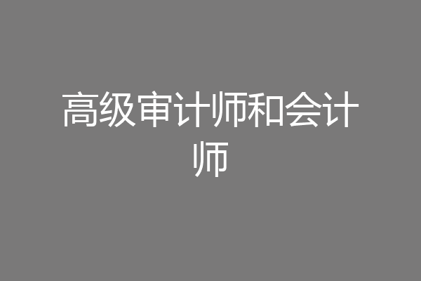 高级审计师和会计师