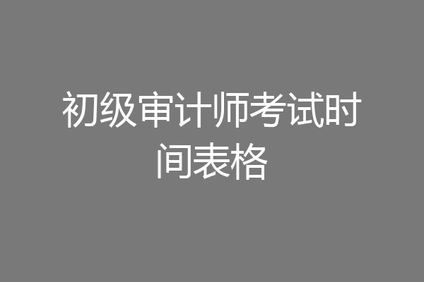 初级审计师考试时间表格