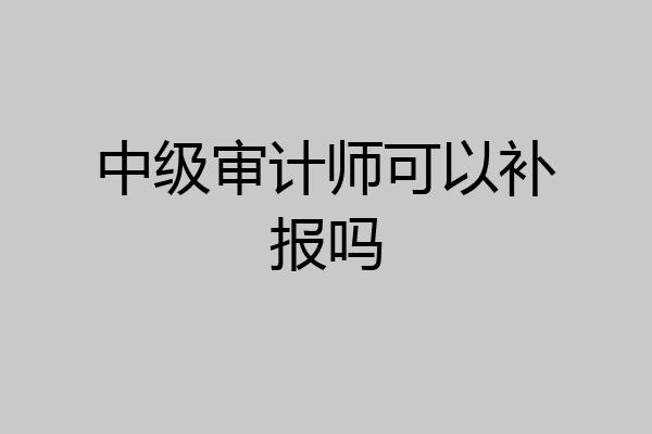 中级审计师可以补报吗