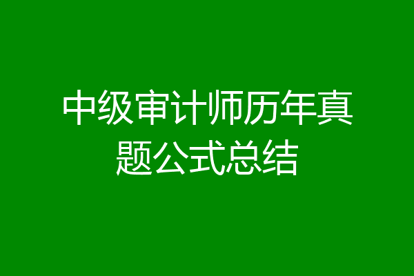 中级审计师历年真题公式总结