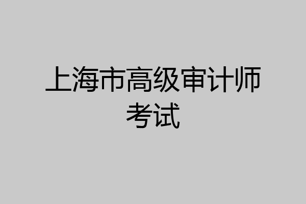 上海市高级审计师考试