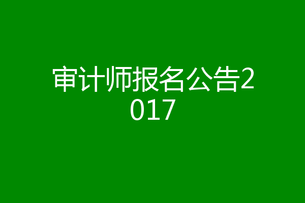 审计师报名公告2017