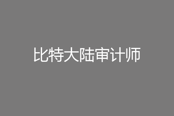 比特大陆审计师