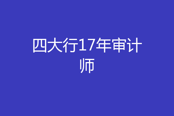 四大行17年审计师