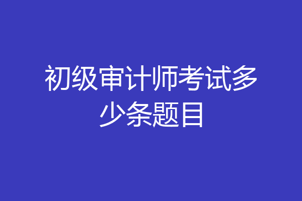 初级审计师考试多少条题目