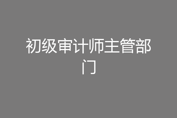 初级审计师主管部门