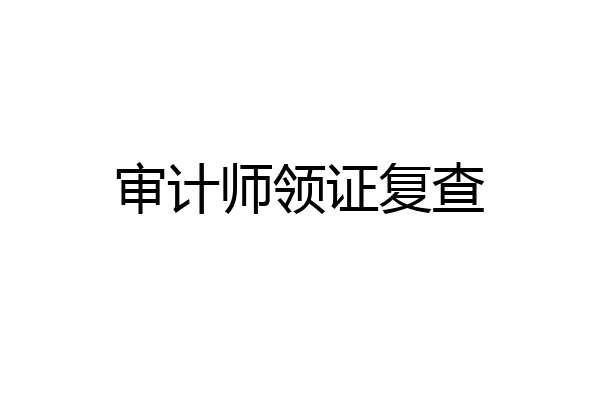 审计师领证复查