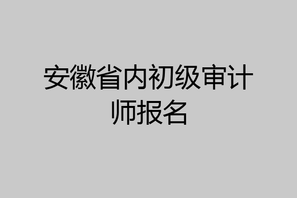 安徽省内初级审计师报名
