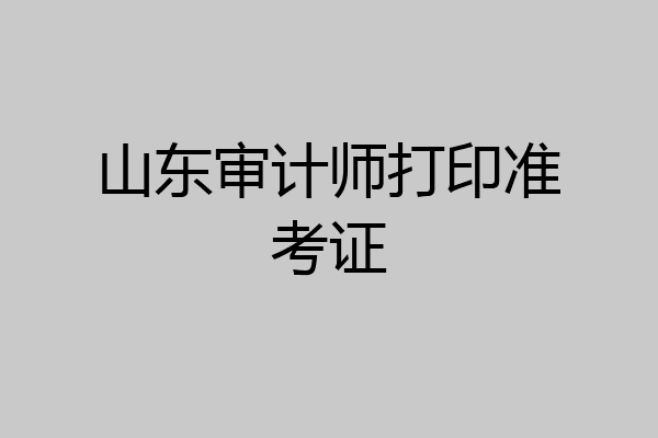 山东审计师打印准考证