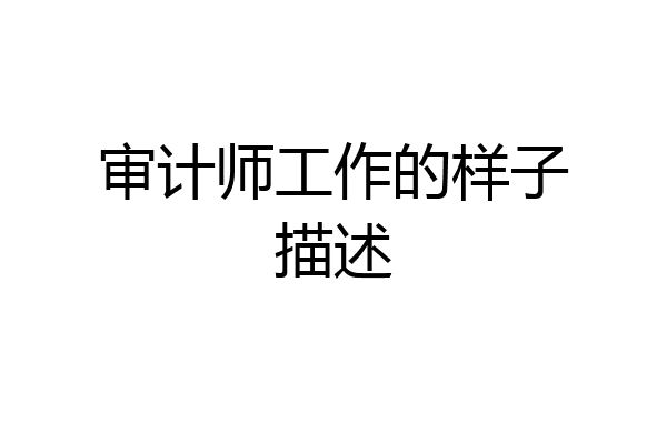 审计师工作的样子描述