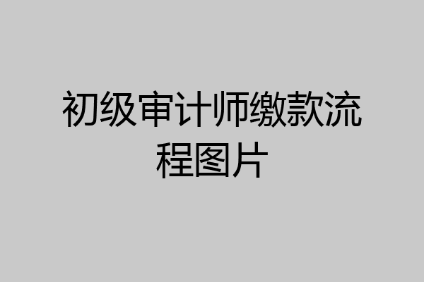 初级审计师缴款流程图片