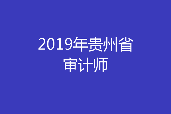 2019年贵州省审计师
