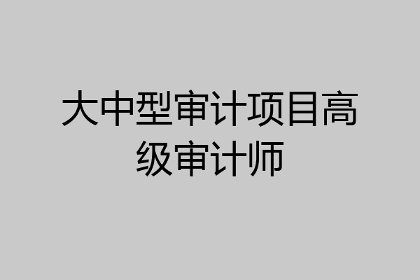 大中型审计项目高级审计师