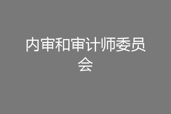 内审和审计师委员会