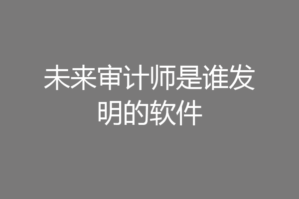 未来审计师是谁发明的软件